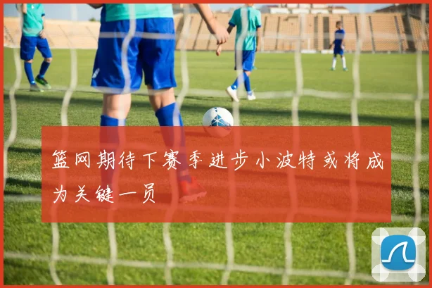 篮网期待下赛季进步小波特或将成为关键一员